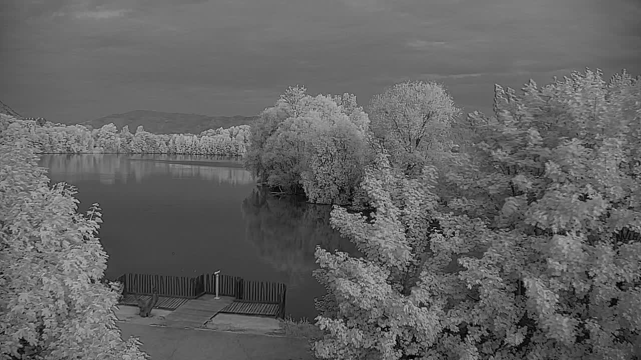 Webcam Ribnik Vrbje – Žalec