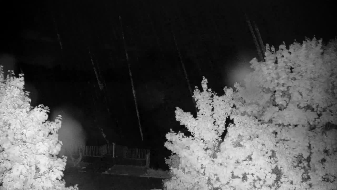 Webcam Ribnik Vrbje – Žalec