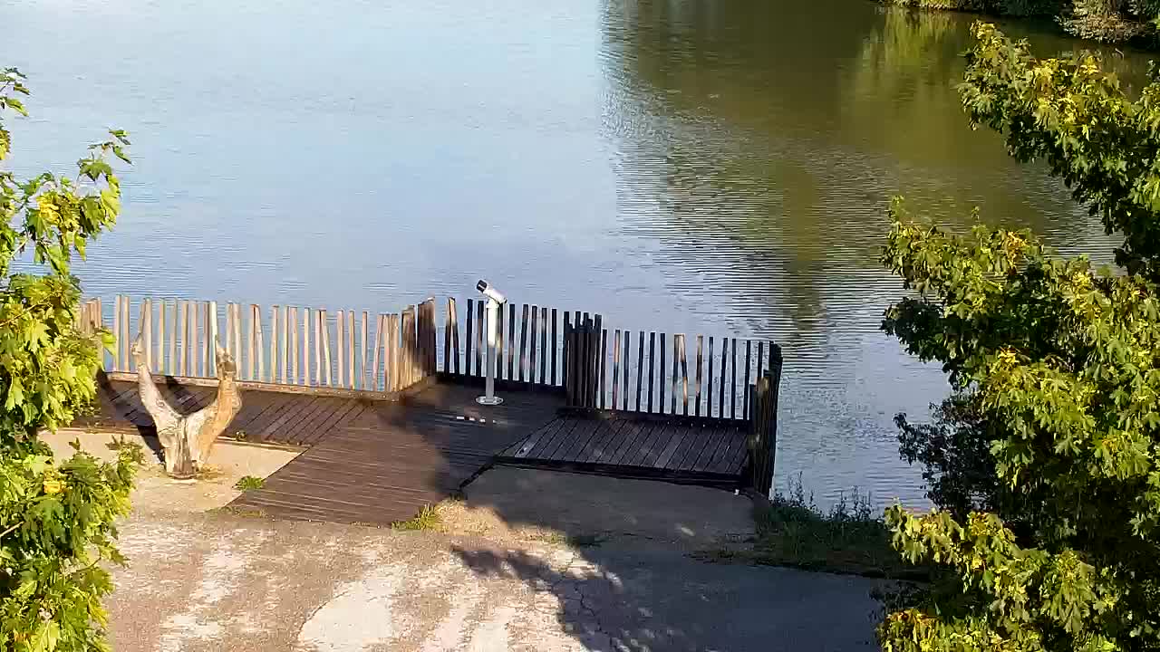Webcam Ribnik Vrbje – Žalec