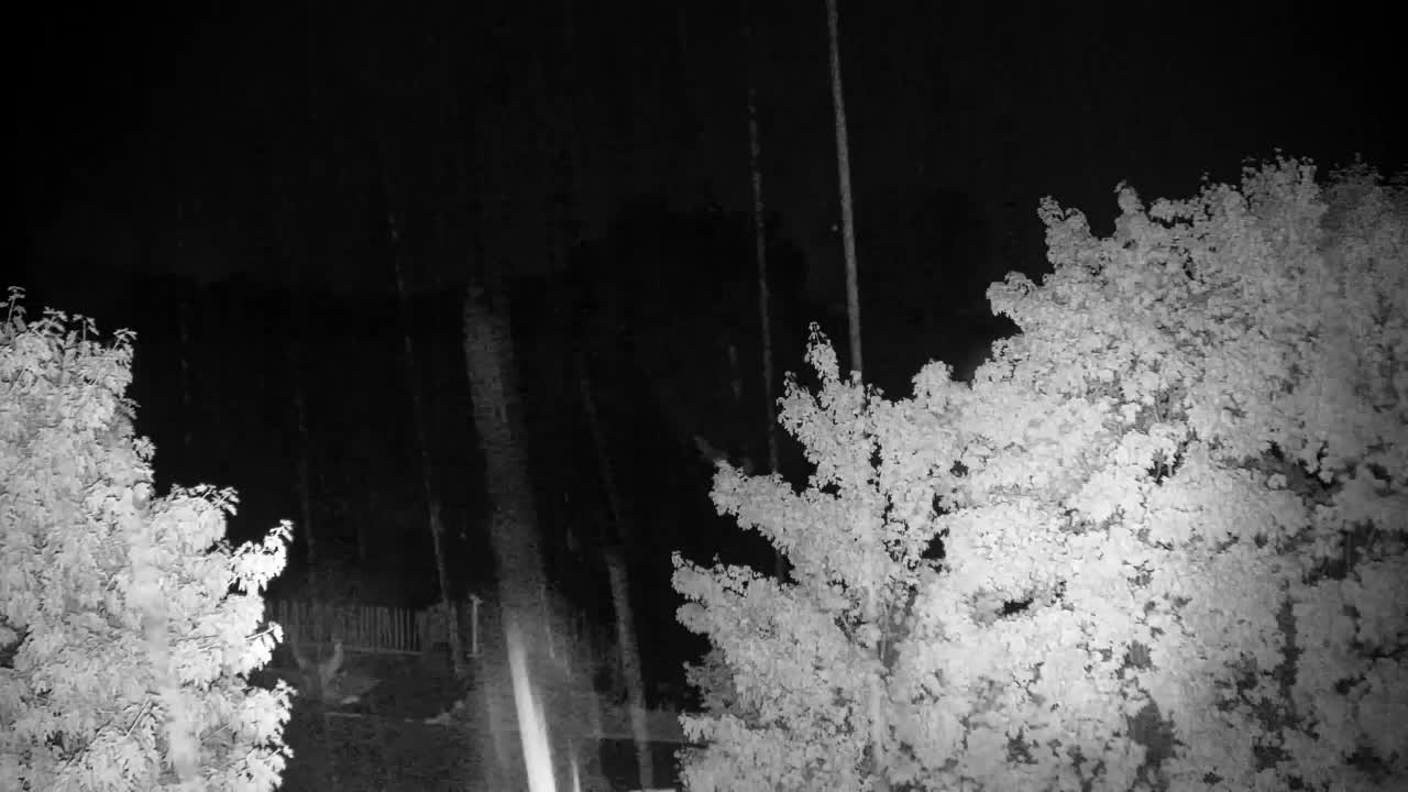 Webcam Ribnik Vrbje – Žalec