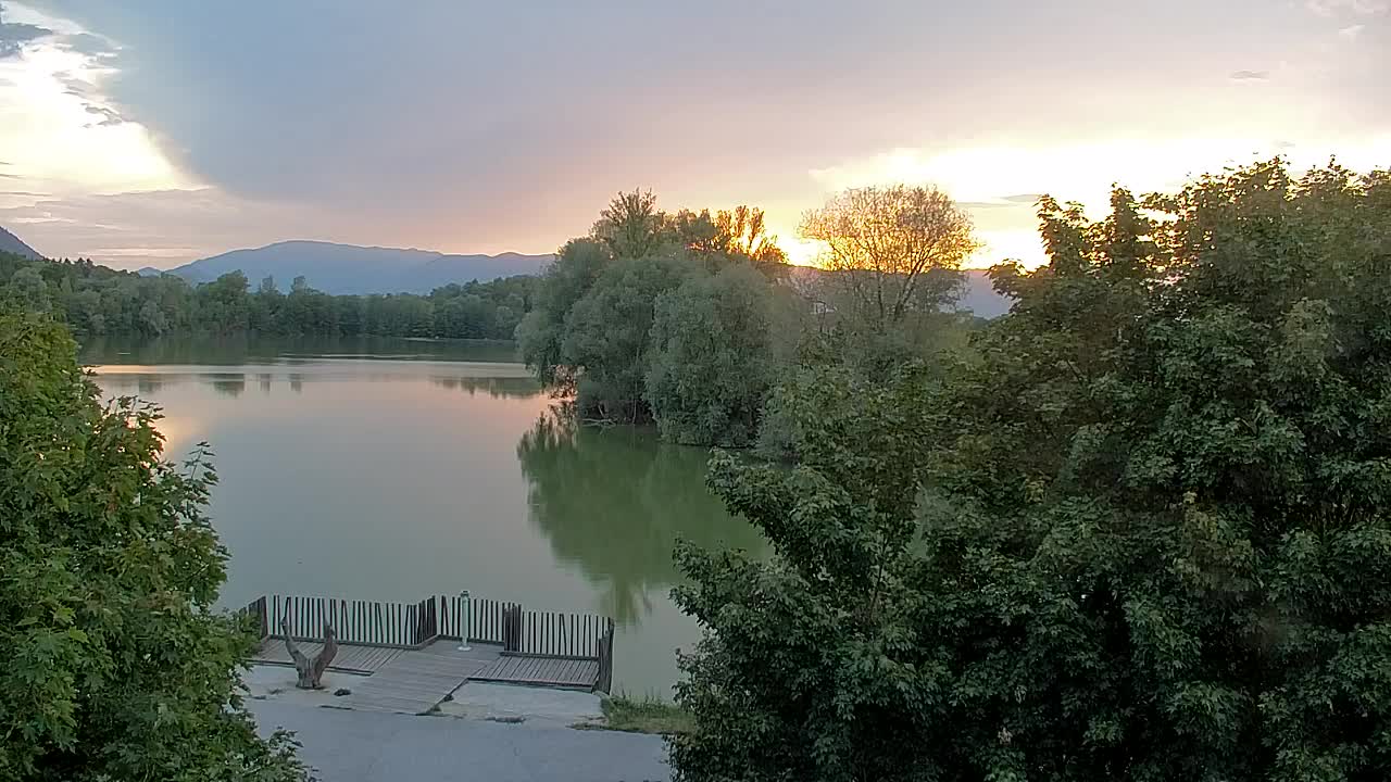 Webcam Ribnik Vrbje – Žalec