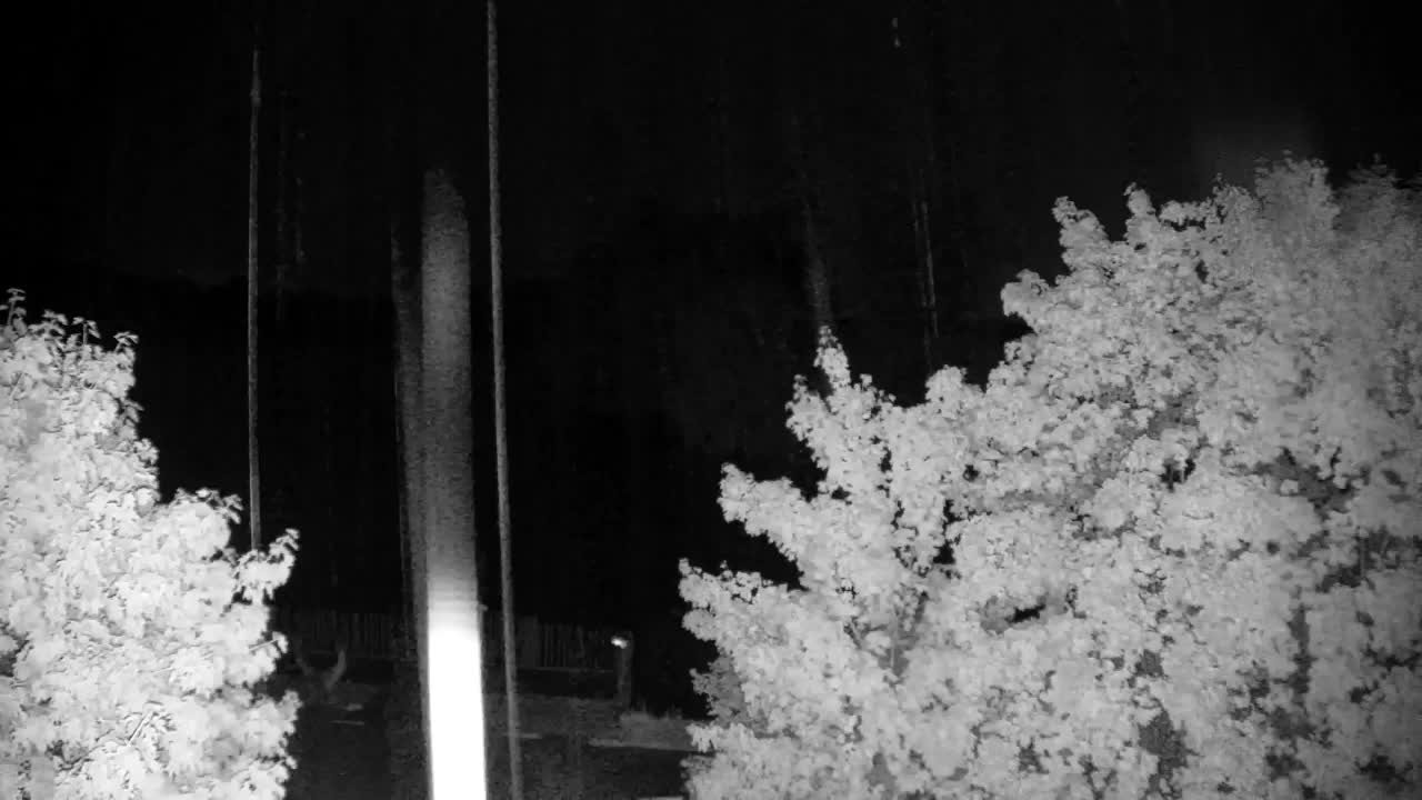 Webcam Ribnik Vrbje – Žalec