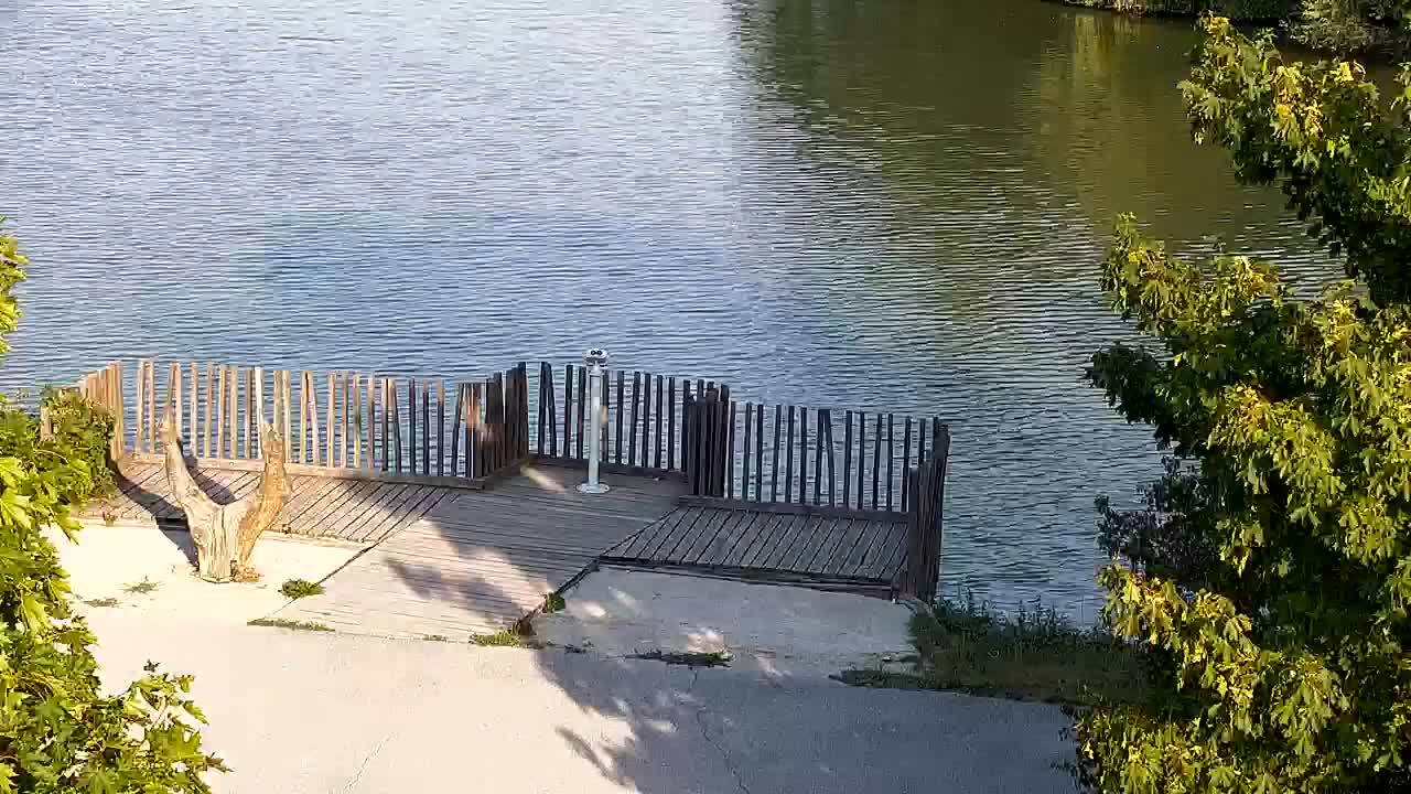 Spletna kamera Ribnik Vrbje – Žalec