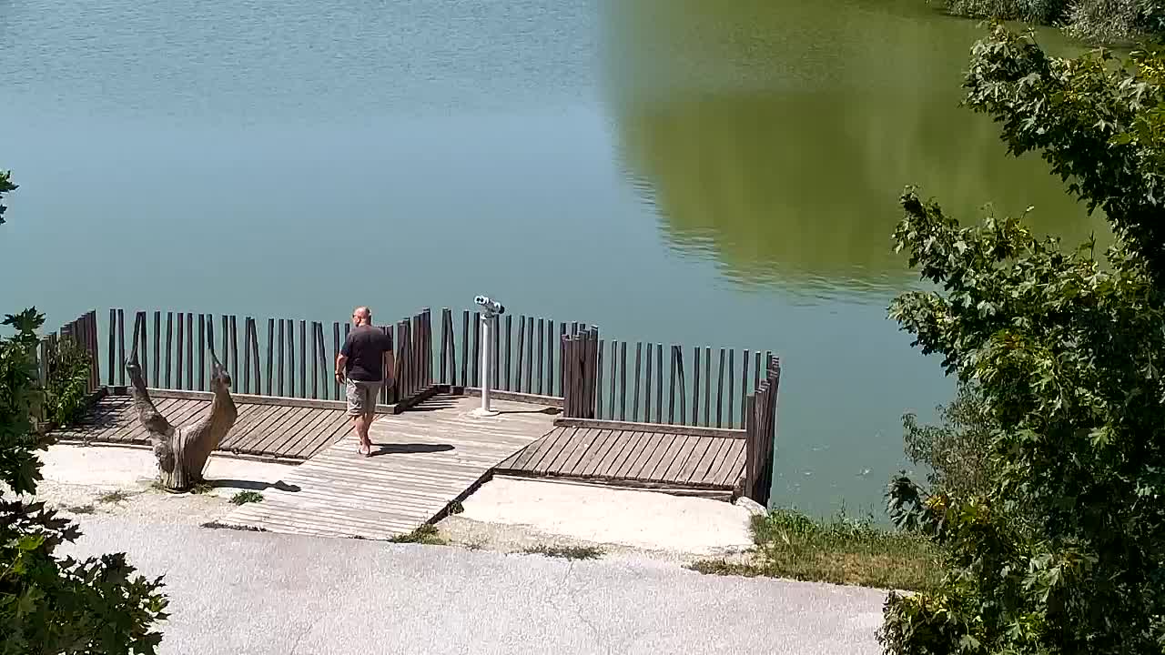Webcam Ribnik Vrbje – Žalec