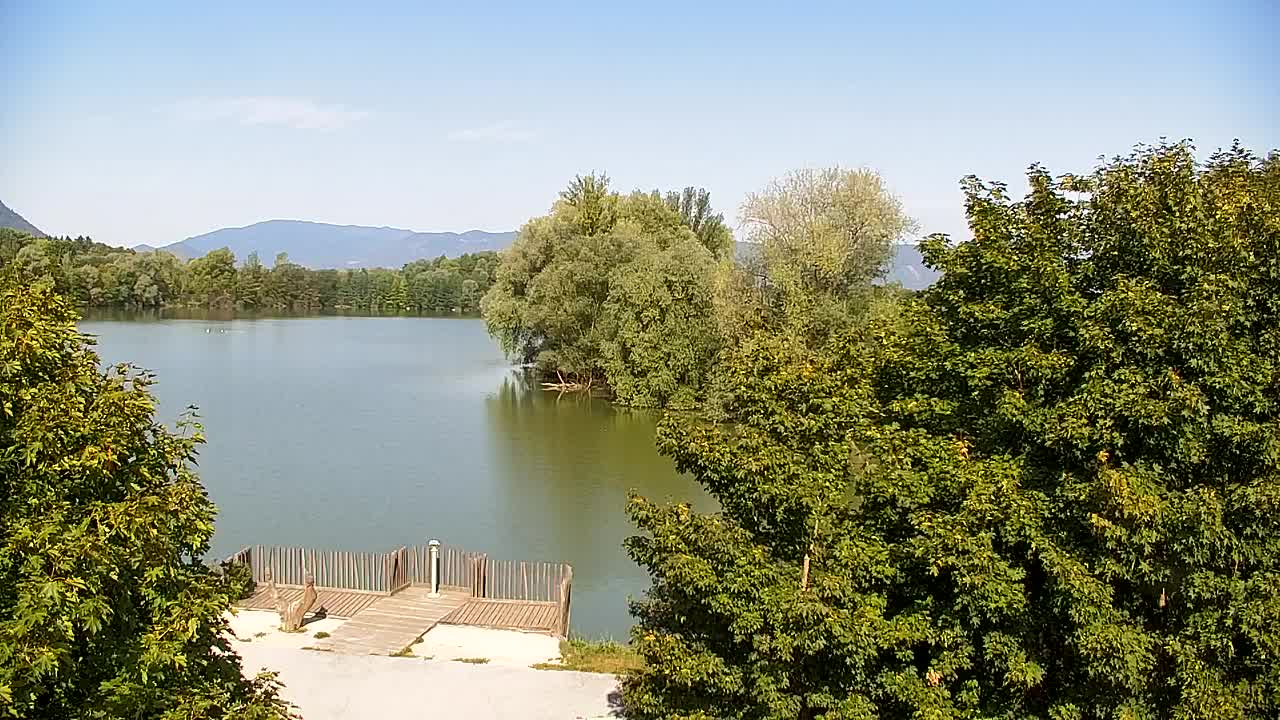 Webcam Ribnik Vrbje – Žalec