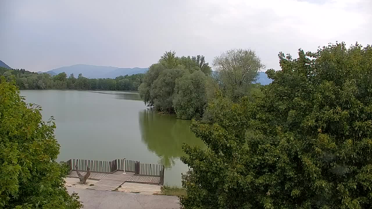 Web kamera Ribnik Vrbje – Žalec