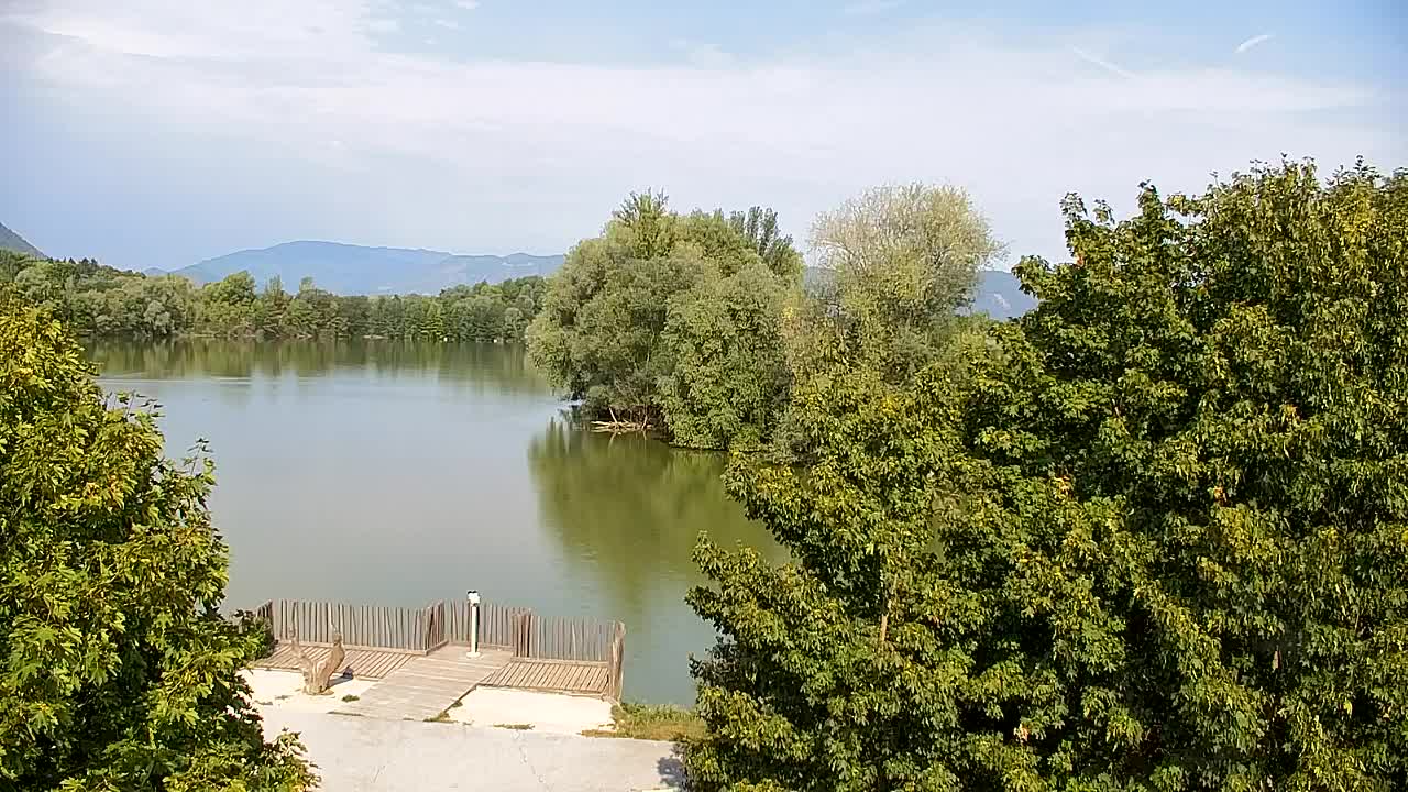 Web kamera Ribnik Vrbje – Žalec