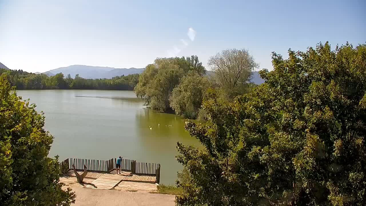 Webcam Ribnik Vrbje – Žalec