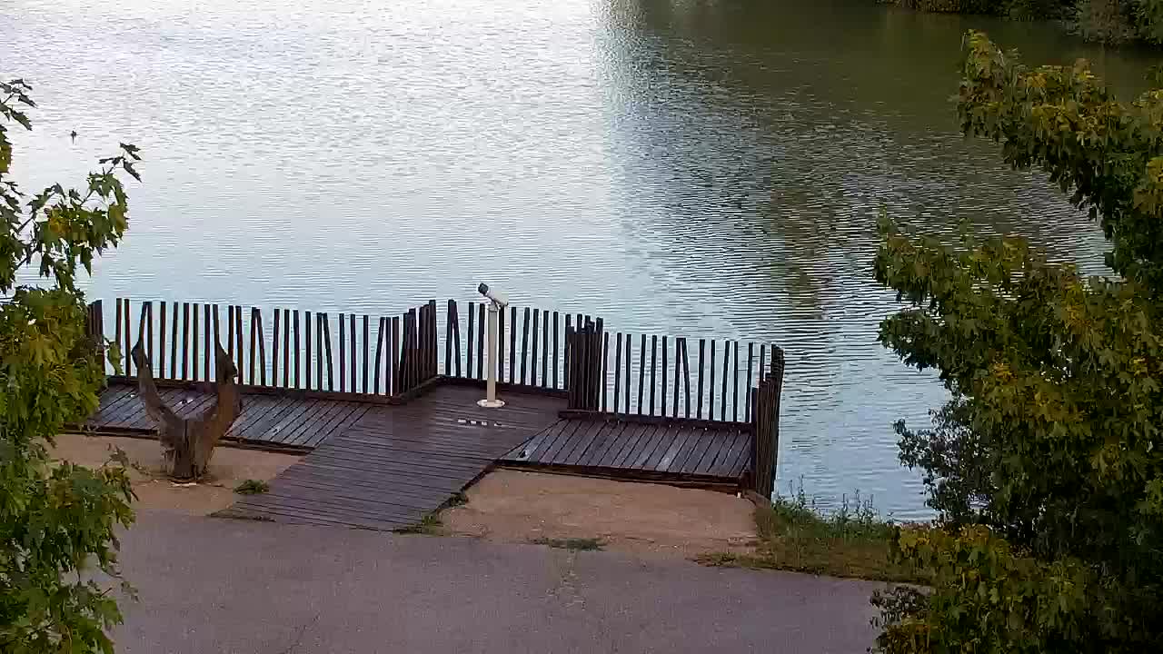 Webcam Ribnik Vrbje – Žalec