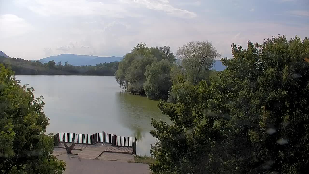 Webcam Ribnik Vrbje – Žalec
