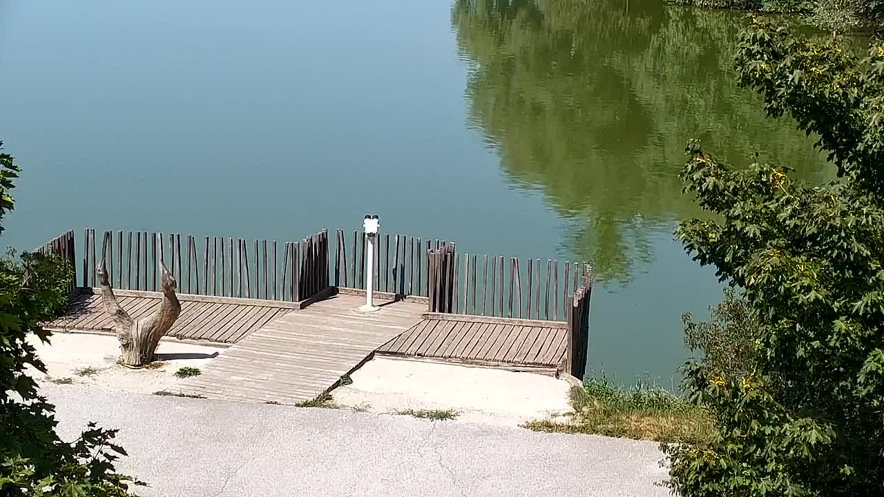 Webcam Ribnik Vrbje – Žalec