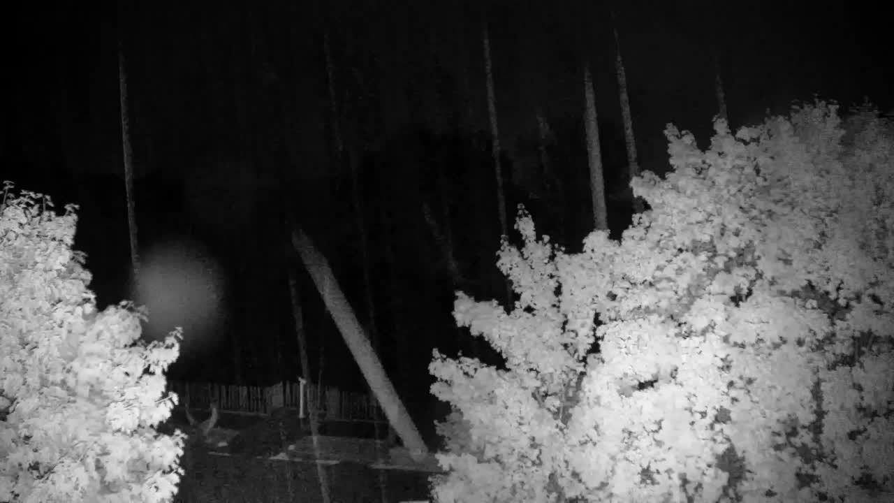 Webcam Ribnik Vrbje – Žalec
