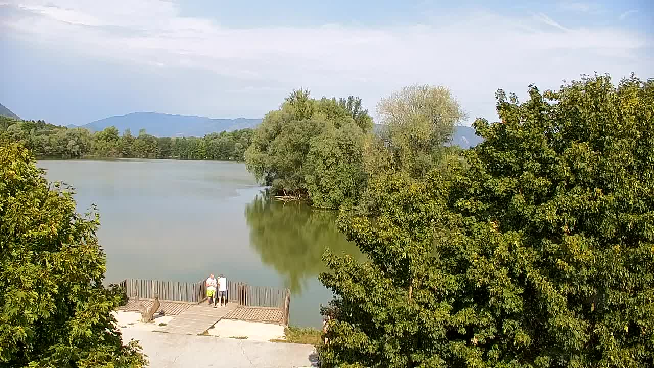Webcam Ribnik Vrbje – Žalec