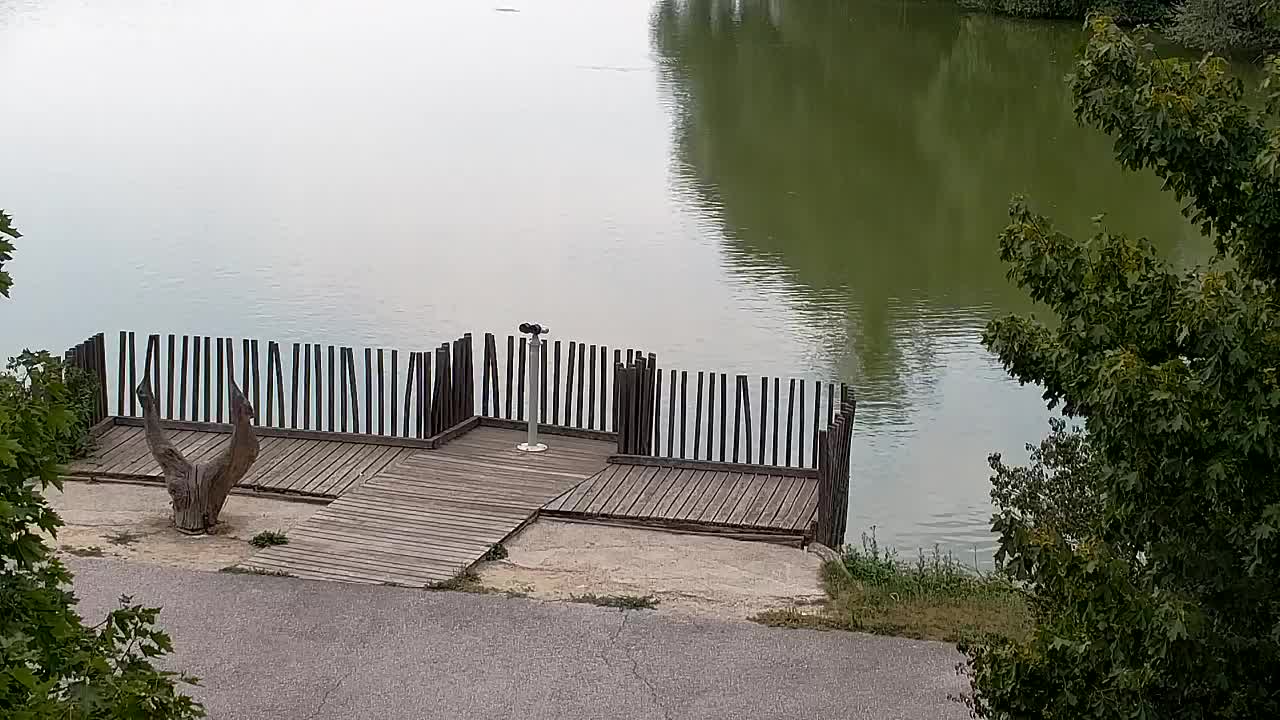 Webcam Ribnik Vrbje – Žalec