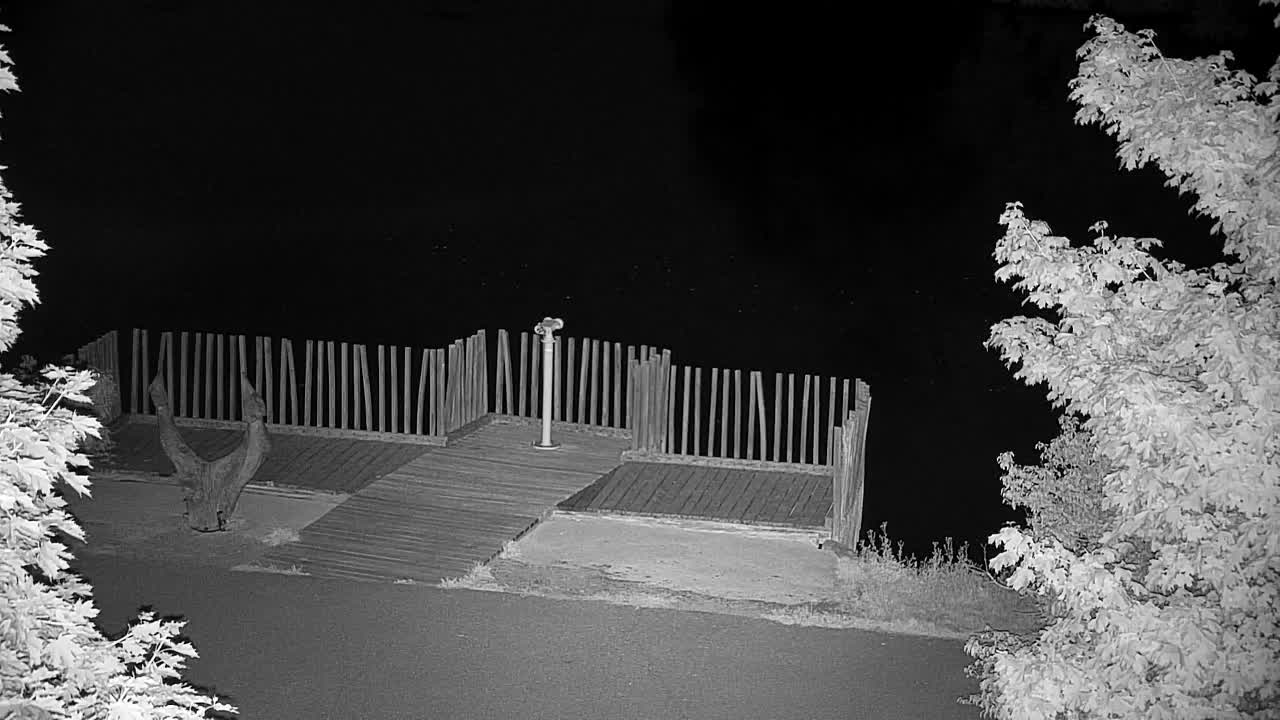 Webcam Ribnik Vrbje – Žalec