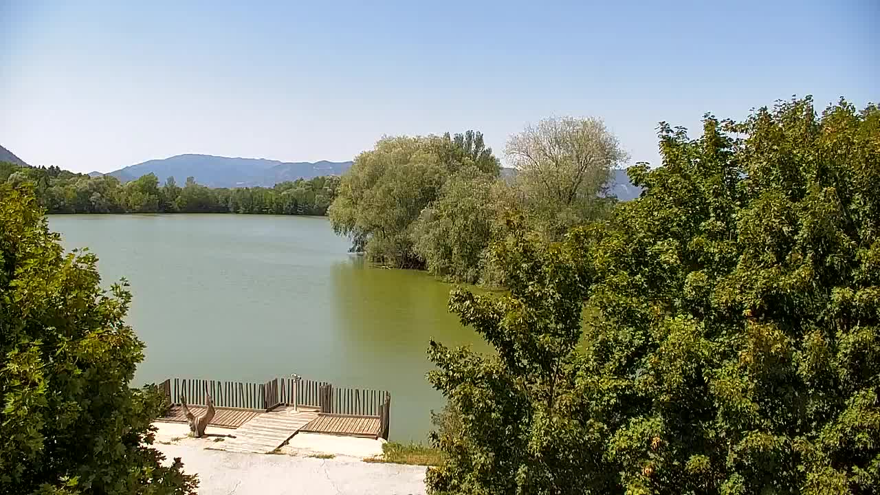 Web kamera Ribnik Vrbje – Žalec