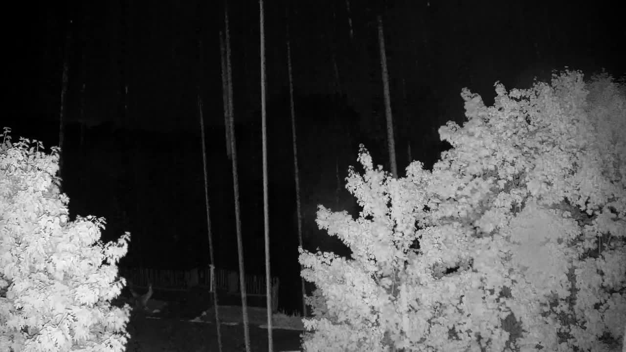 Webcam Ribnik Vrbje – Žalec
