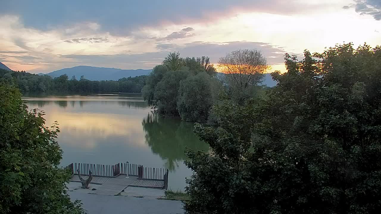 Webcam Ribnik Vrbje – Žalec