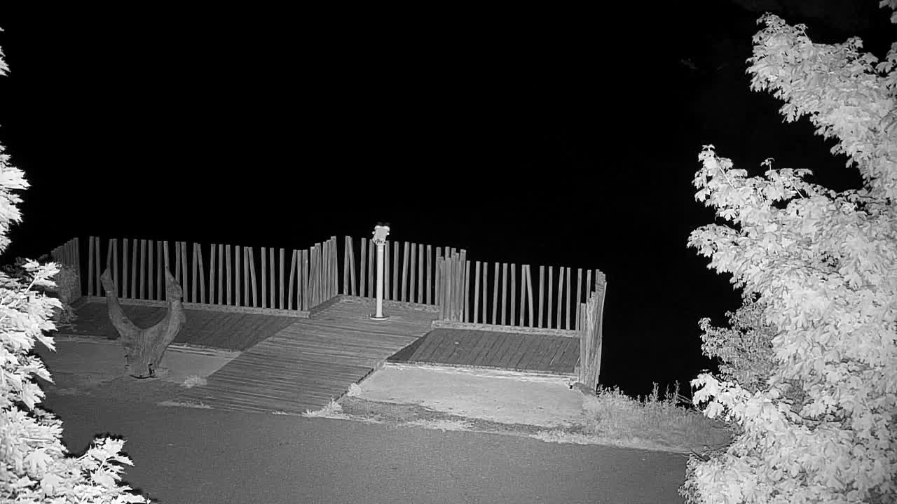 Webcam Ribnik Vrbje – Žalec