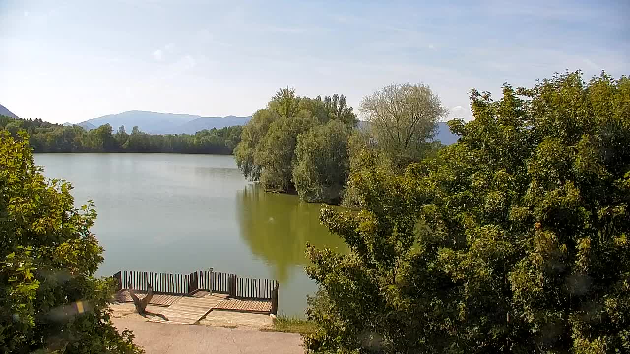 Webcam Ribnik Vrbje – Žalec