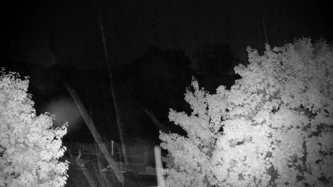 Web kamera Ribnik Vrbje – Žalec