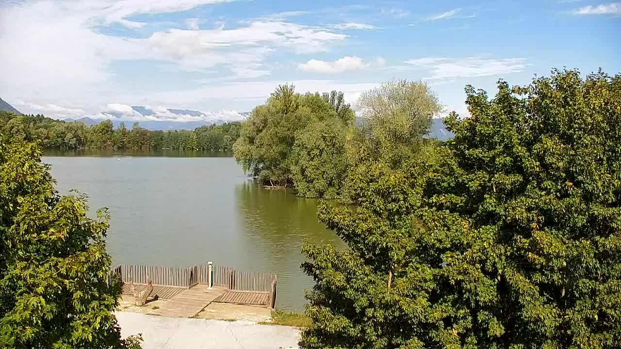 Web kamera Ribnik Vrbje – Žalec