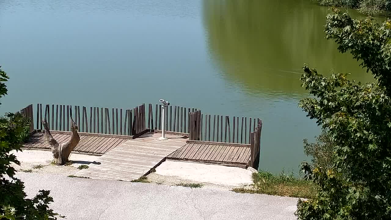 Webcam Ribnik Vrbje – Žalec