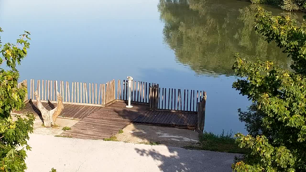 Webcam Ribnik Vrbje – Žalec