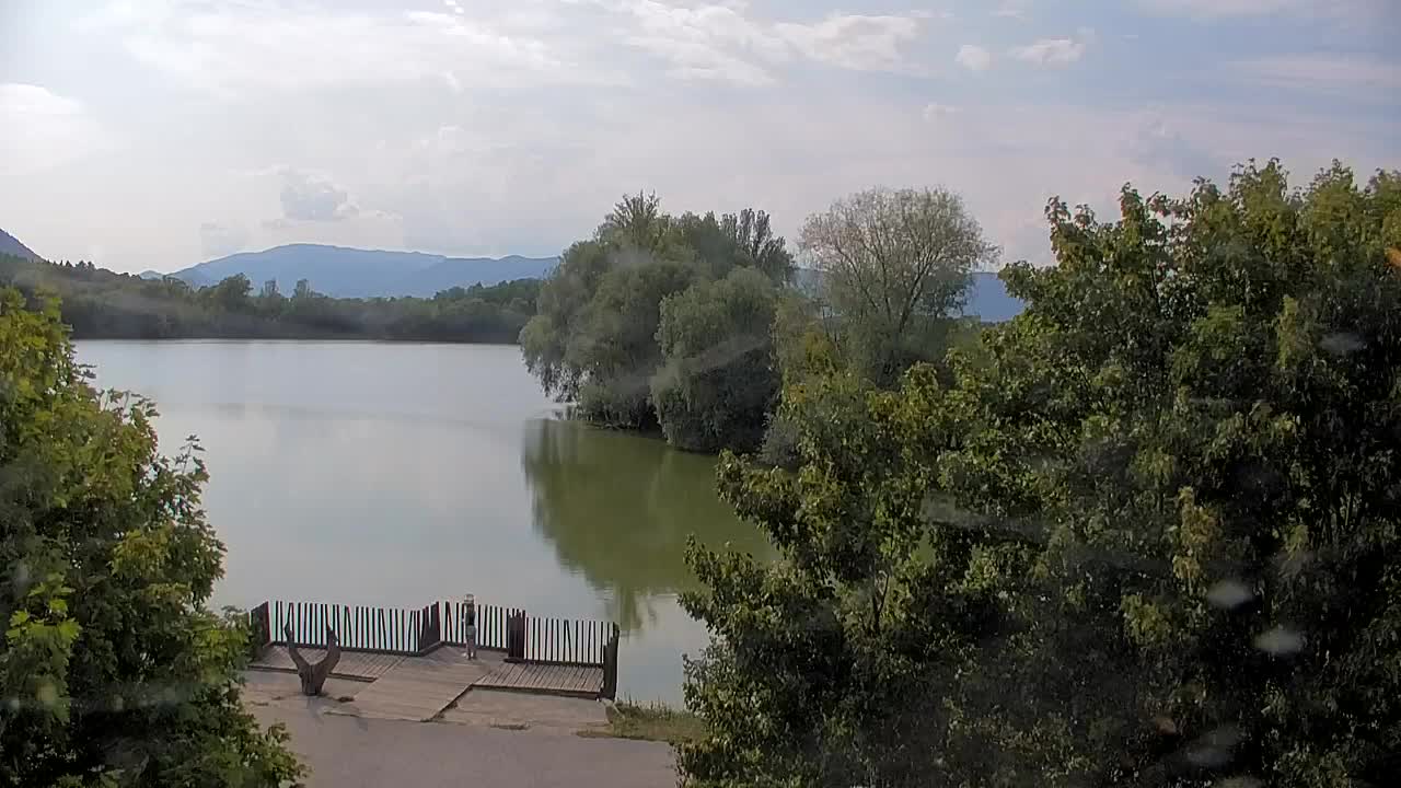 Webcam Ribnik Vrbje – Žalec