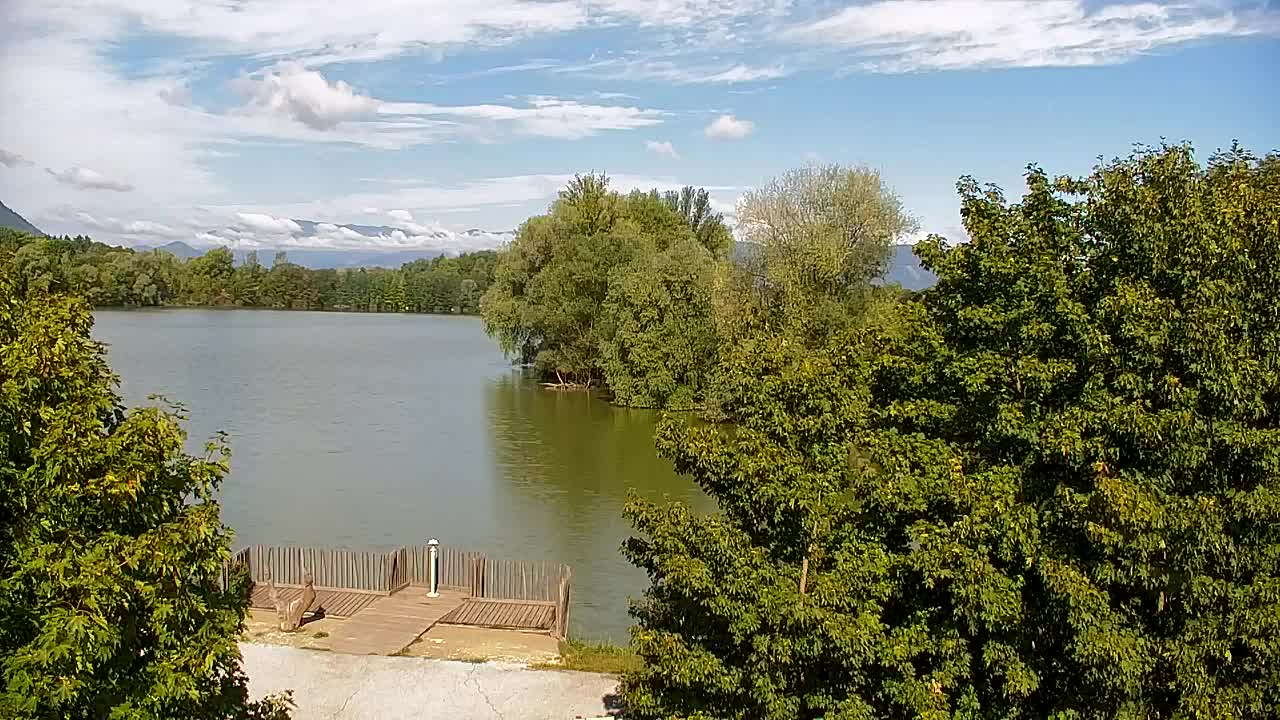 Webcam Ribnik Vrbje – Žalec