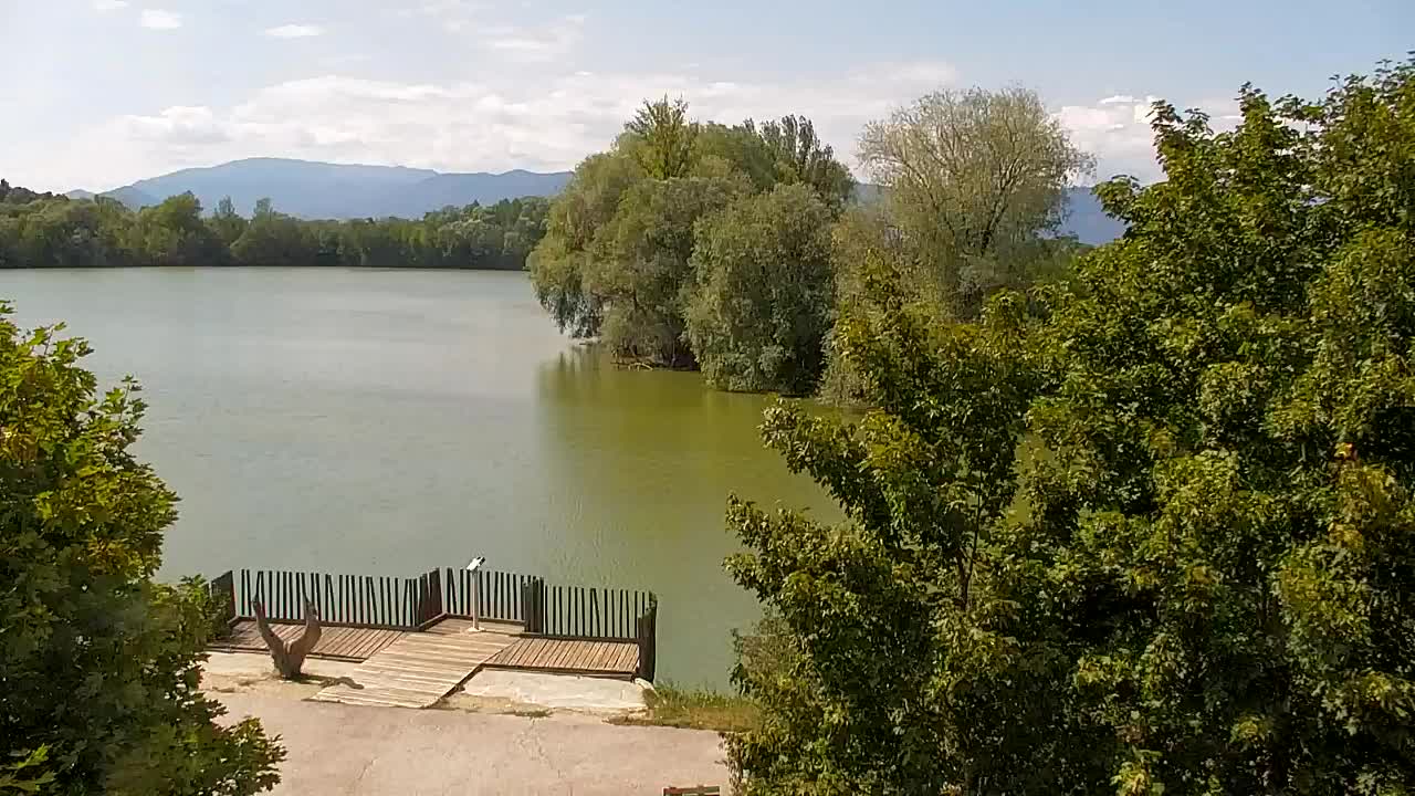 Web kamera Ribnik Vrbje – Žalec