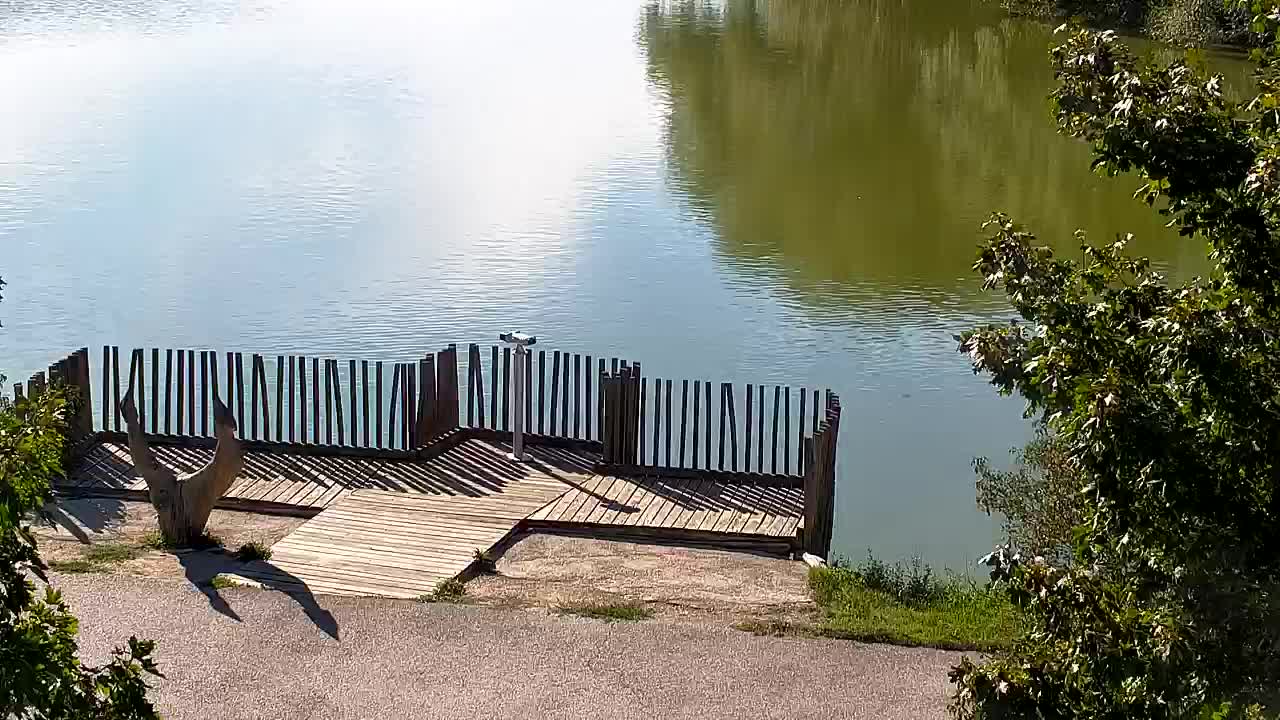 Webcam Ribnik Vrbje – Žalec