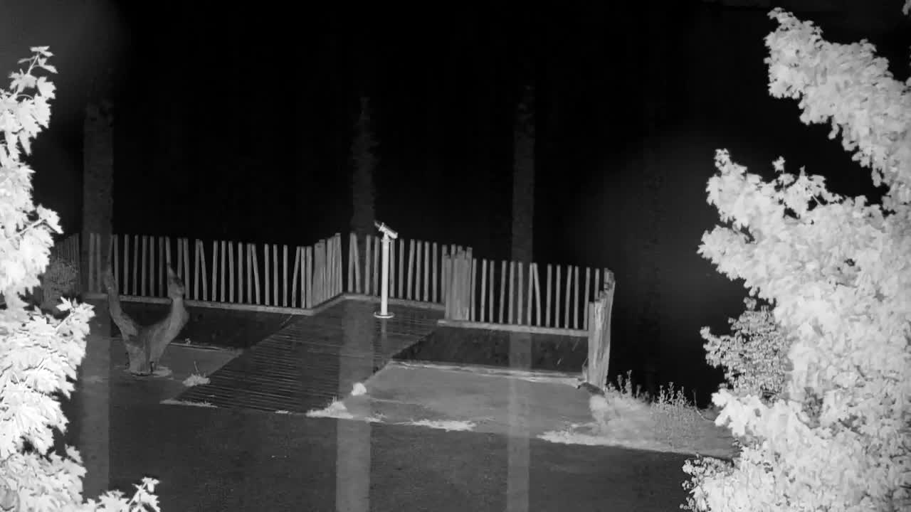 Webcam Ribnik Vrbje – Žalec