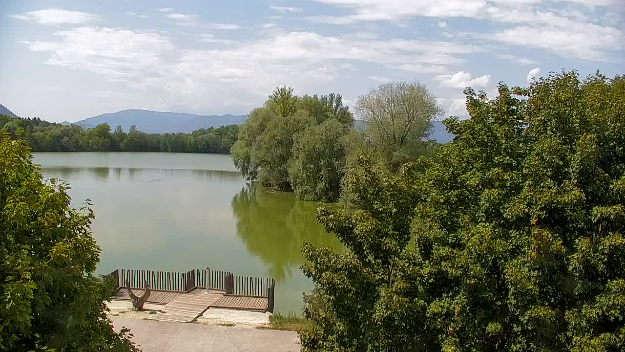 Web kamera Ribnik Vrbje – Žalec