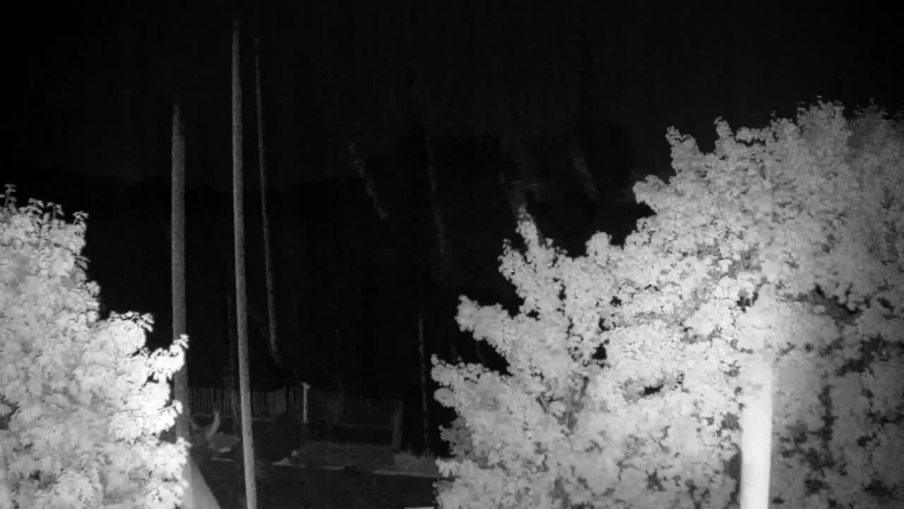 Webcam Ribnik Vrbje – Žalec