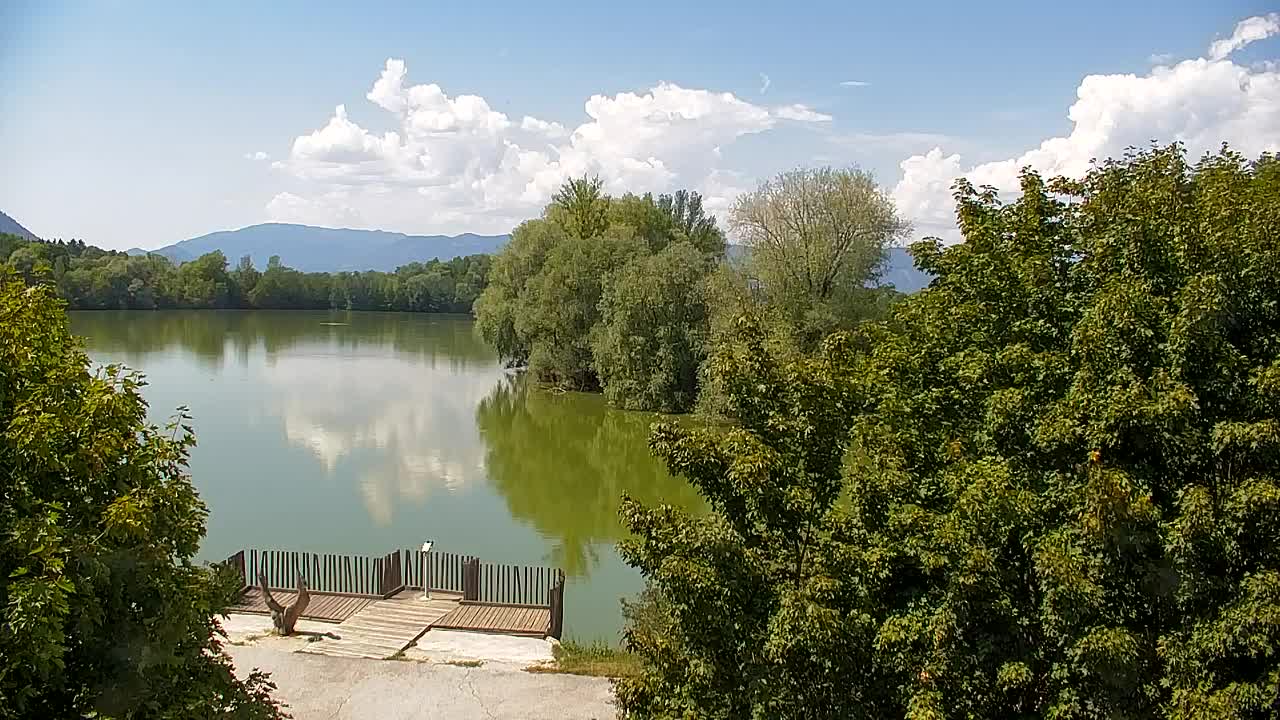 Webcam Ribnik Vrbje – Žalec