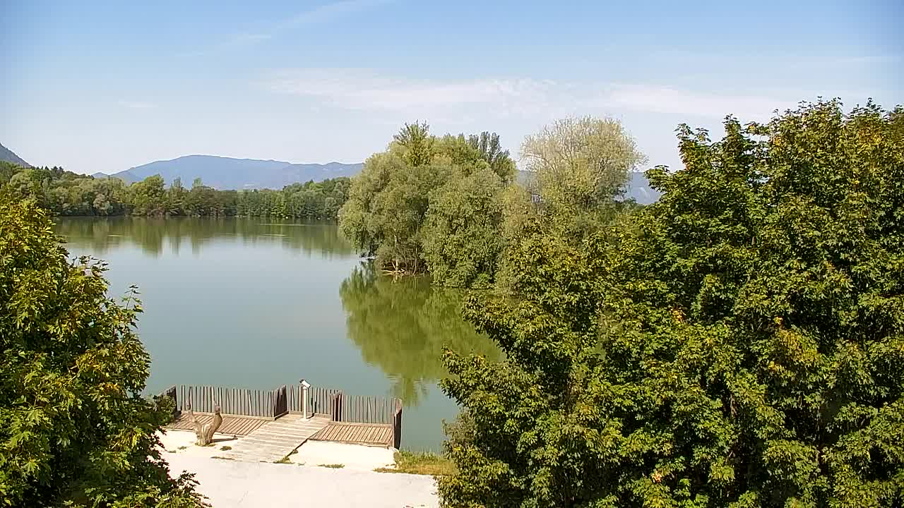 Webcam Ribnik Vrbje – Žalec