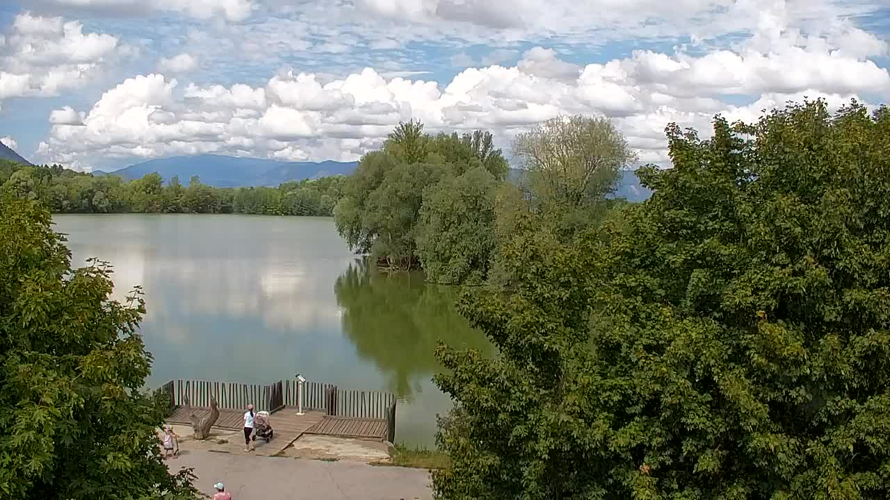 Webcam Ribnik Vrbje – Žalec