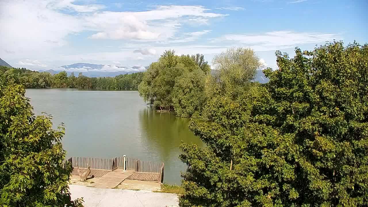 Webcam Ribnik Vrbje – Žalec