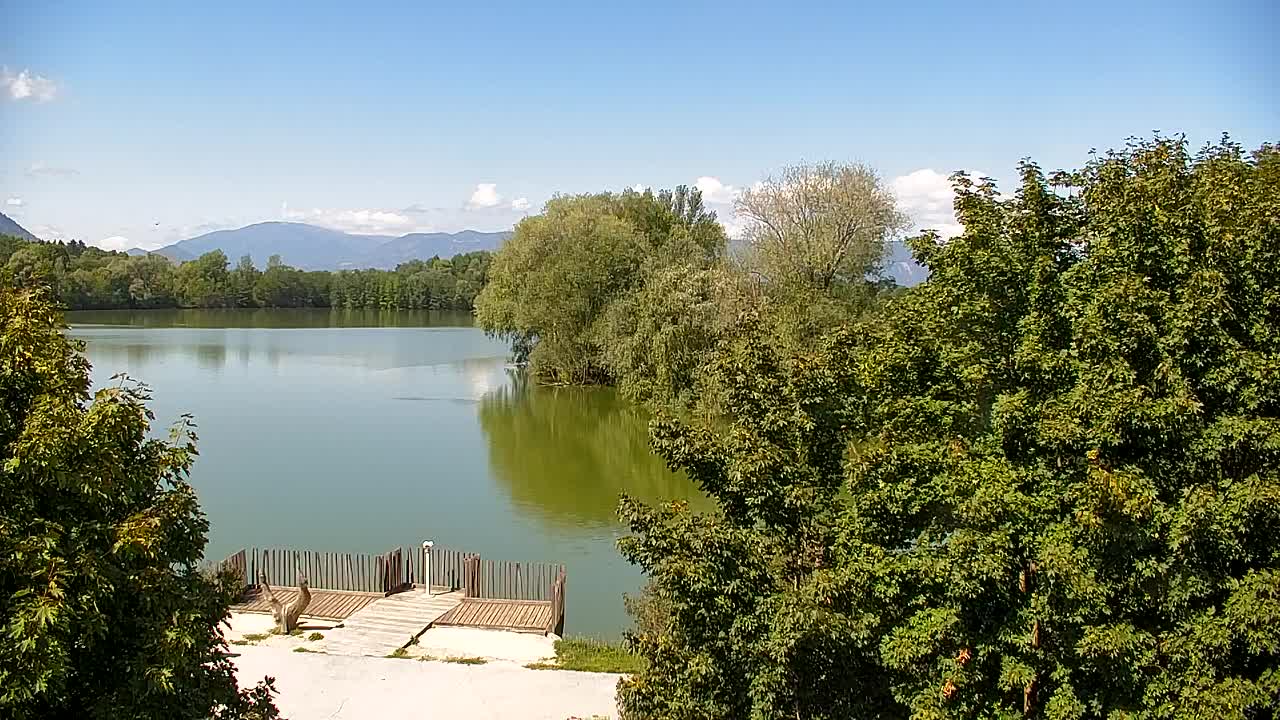 Spletna kamera Ribnik Vrbje – Žalec