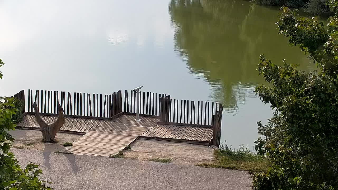 Spletna kamera Ribnik Vrbje – Žalec