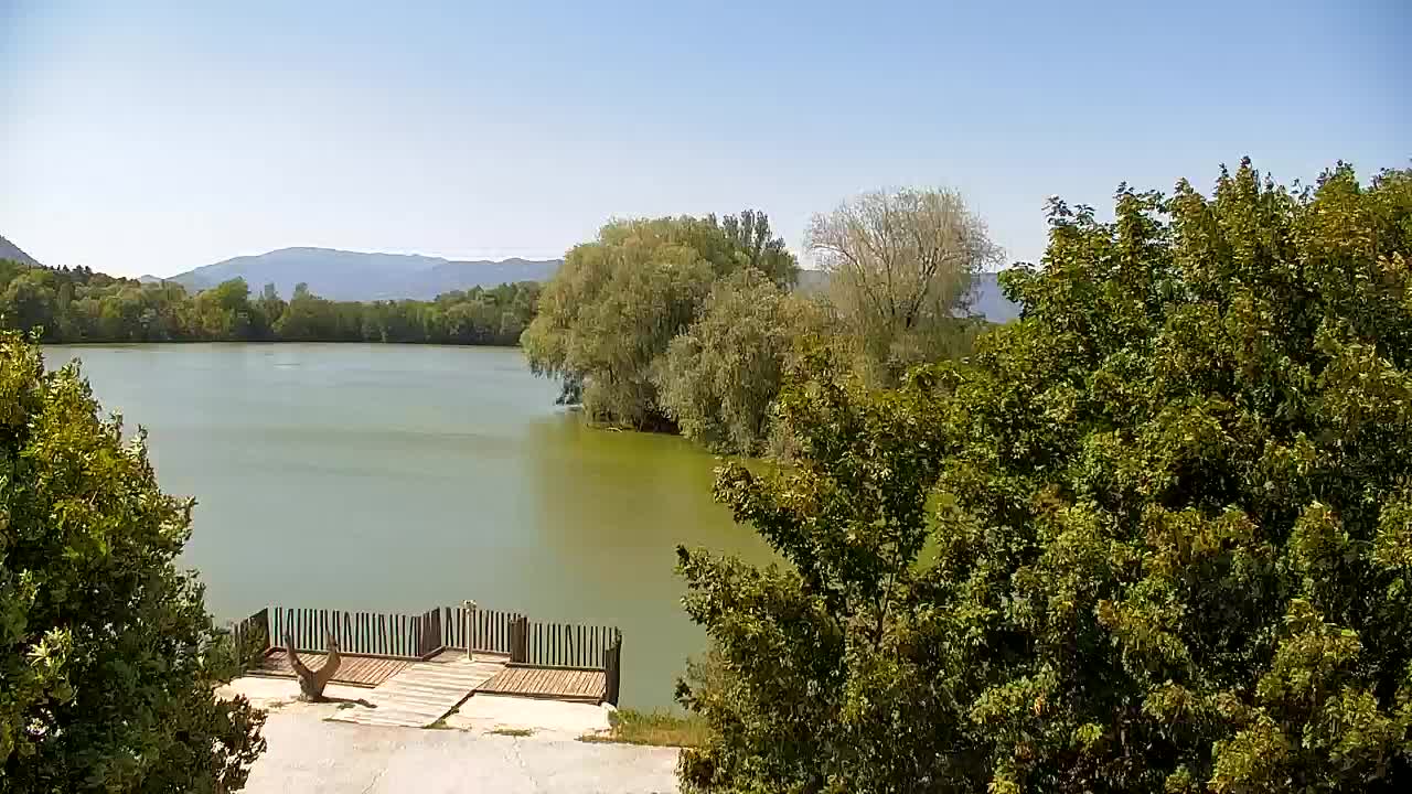 Webcam Ribnik Vrbje – Žalec