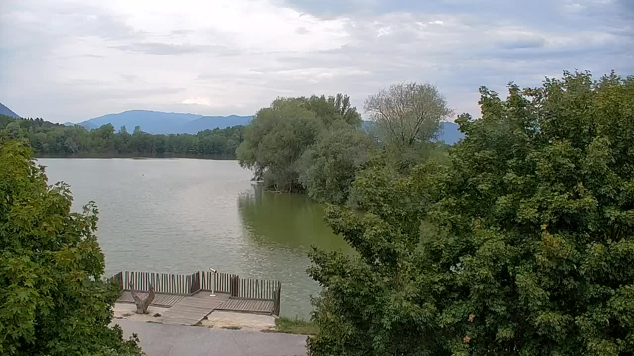 Webcam Ribnik Vrbje – Žalec