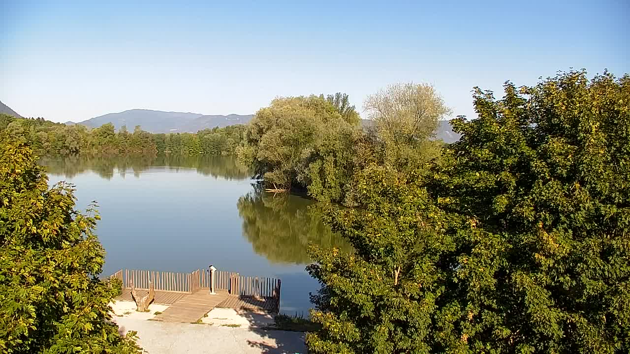 Spletna kamera Ribnik Vrbje – Žalec
