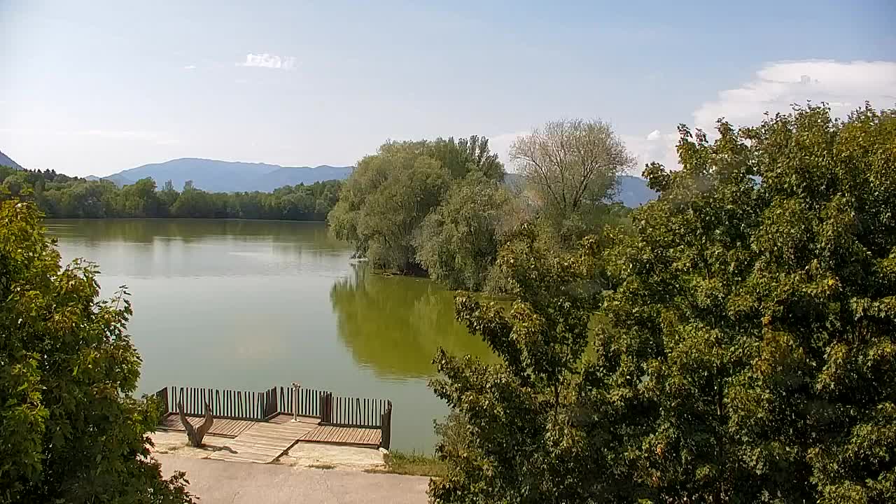 Webcam Ribnik Vrbje – Žalec