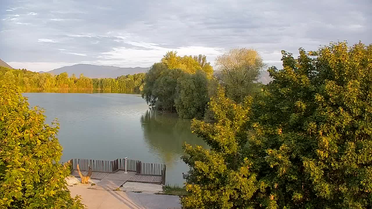 Webcam Ribnik Vrbje – Žalec