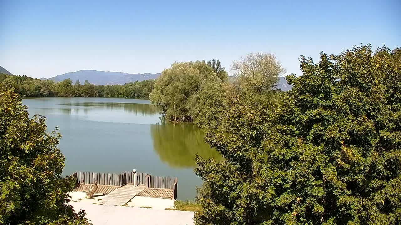 Webcam Ribnik Vrbje – Žalec