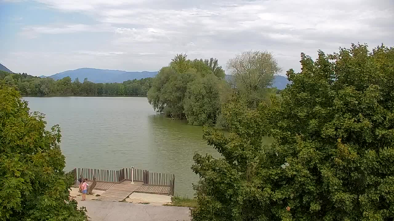 Webcam Ribnik Vrbje – Žalec