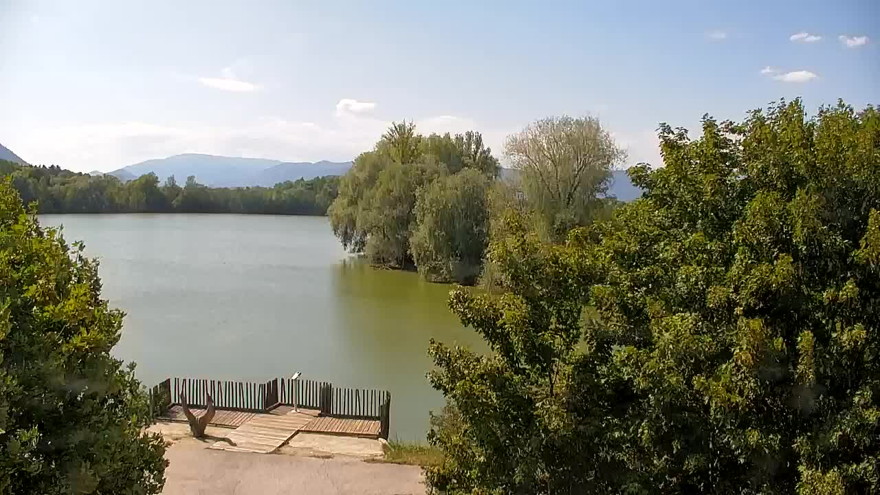 Webcam Ribnik Vrbje – Žalec