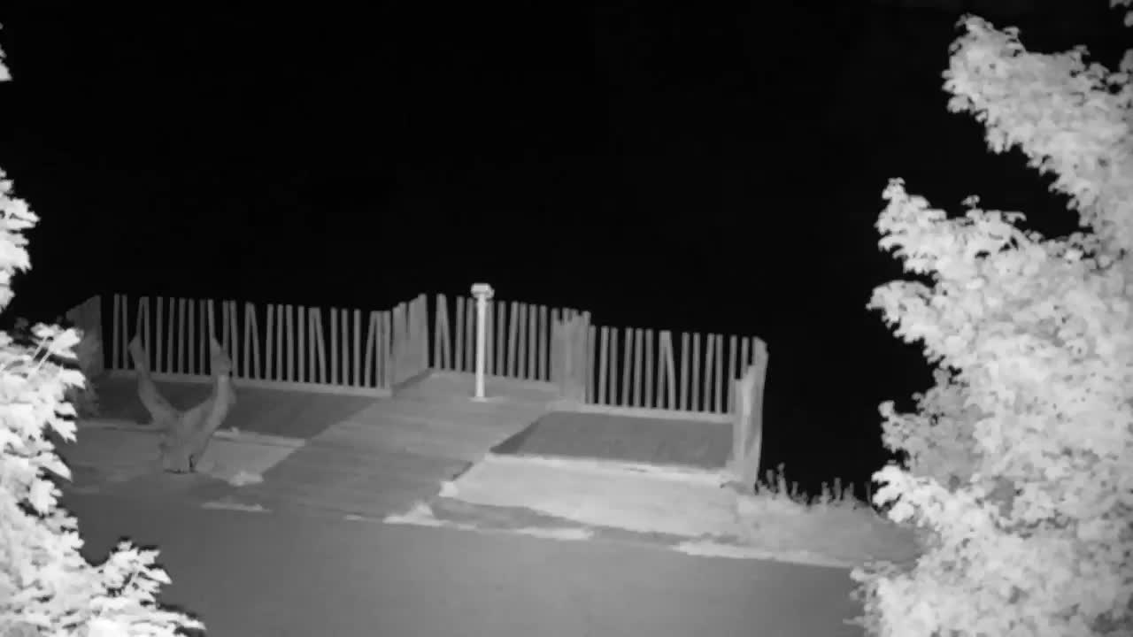 Webcam Ribnik Vrbje – Žalec
